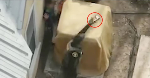 Polis, ellerindeki tabancaları bırakmayan 7 ve 9 yaşındaki iki kardeşe ateş açtı