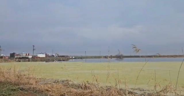 Nimet Kılıç'tan 13 gün sonra acı haber geldi