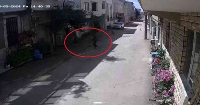 Bursa'da sahipsiz köpekler 3 çocuğa saldırdı