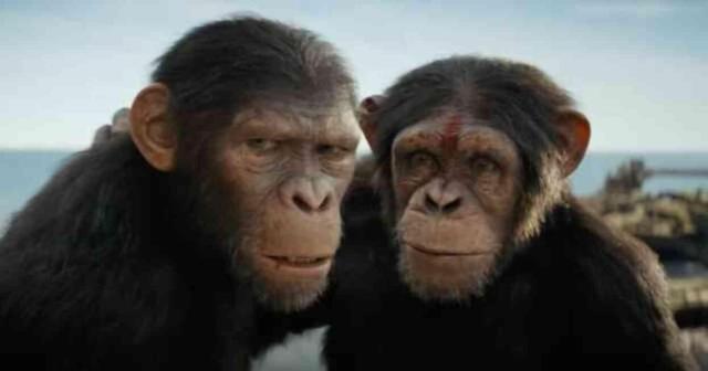 Maymunlar Cehennemi Yeni Krallık izle! (2024) Maymunlar Cehennemi Yeni Krallık filmi Türkçe dublaj full nereden izlenir?