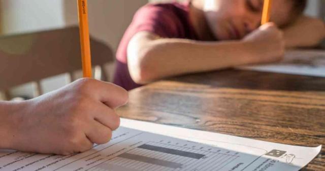 KASIM ARA TATİLİ NE ZAMAN? Ara tatiller hangi tarihte? 15 tatil ne zaman 2024? MEB takvimi!