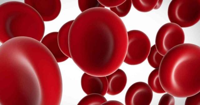 MAL kan grubu nedir? MAL kan grubu kimlerde var, özellikleri neler?