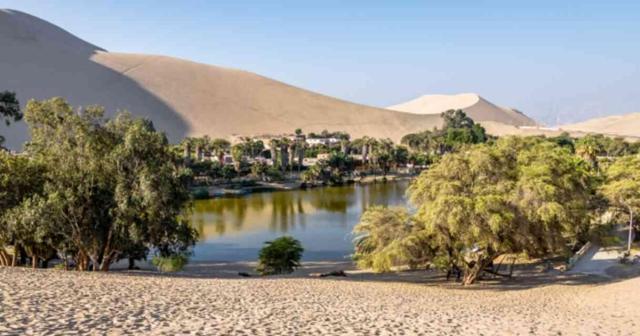 Vahalar nerede olur? Çölün içindeki vaha ne demek?