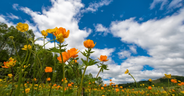 Üçüncü cemre ne zaman düşecek? 2025'te üçüncü cemre hangi tarihte toprağa düşecek?