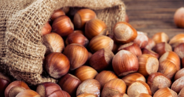 Fındık fiyatları ne kadar oldu? 2025 güncel fındık fiyatları!