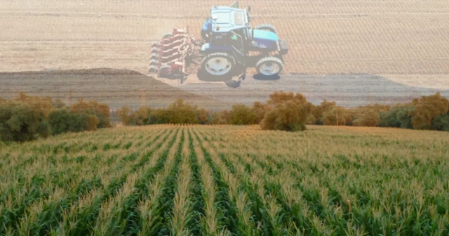 Kiralık tarla başvuru nereden, nasıl yapılır? Kiralık tarla başvuru şartları nelerdir?