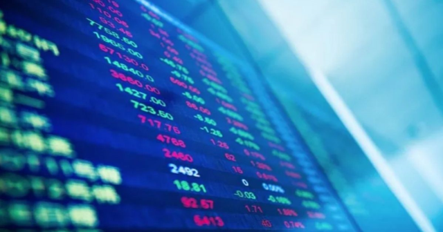 Dof Robotik kaç lot verir? Dof Robotik halka arz ne zaman, ne kadar?