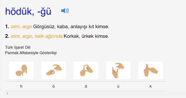Hödük ne demek? Hödük kimlere denir? Hödük TDK anlamı nedir? Hödük hakaret mi?