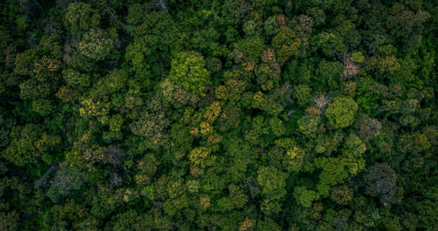 İklim kanunu nedir, maddeleri nelerdir? Türkiye iklim yasasını kabul etti mi?