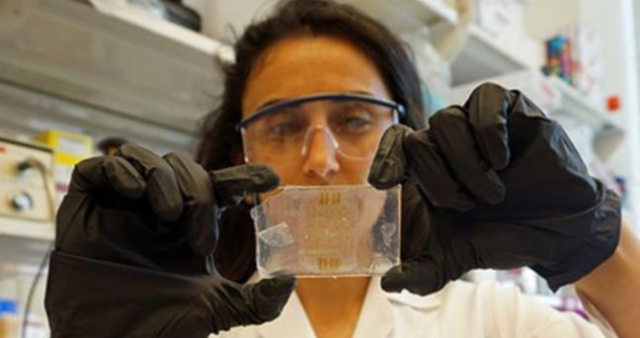 Canan Dağdeviren kimdir? Türk Bilim İnsanı Canan Dağdeviren kaç yaşında, nereli?