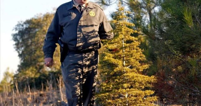 OGM PERSONEL ALIMI BAŞVURU: Orman Genel Müdürlüğü (OGM) personel alımı ne zaman? OGM personel alımı başvuru şartları neler?