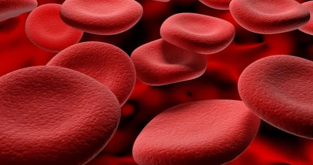 Altın kan grubu nedir? Altın kan grubu Türkiye'de var mı, dünyada kaç kişide var?