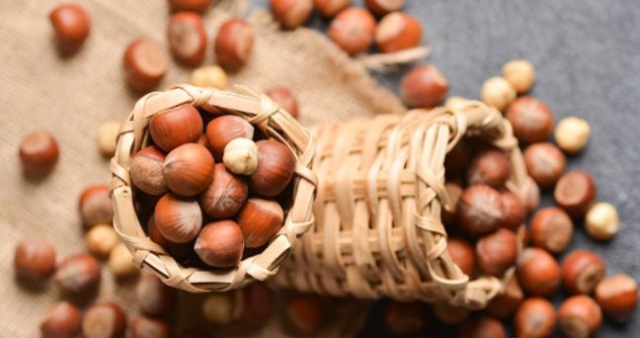 Giresun'da güncel fındık fiyatları! Fındık fiyatları düştü mü, yükseldi mi?