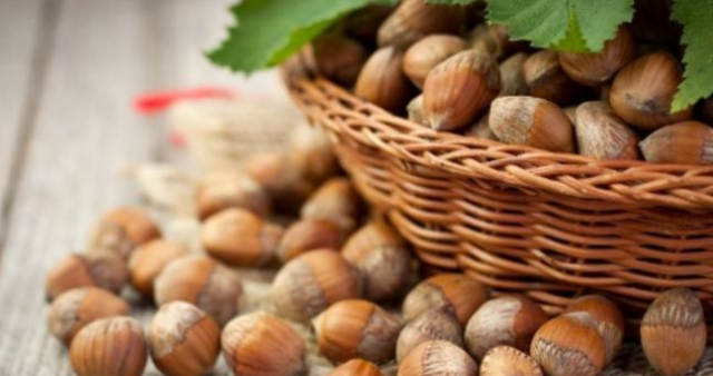 Giresun'da güncel fındık fiyatları! Fındık fiyatları düştü mü, yükseldi mi?