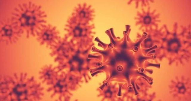 H3N2 virüsü nedir, tehlikeli mi? Yeni virüs H3N2 belirtileri neler, bulaşıcı mı?