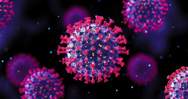 H3N2 virüsü Türkiye'de var mı? H3N2 virüsü Türkiye'de kaç kişide tespit edildi?