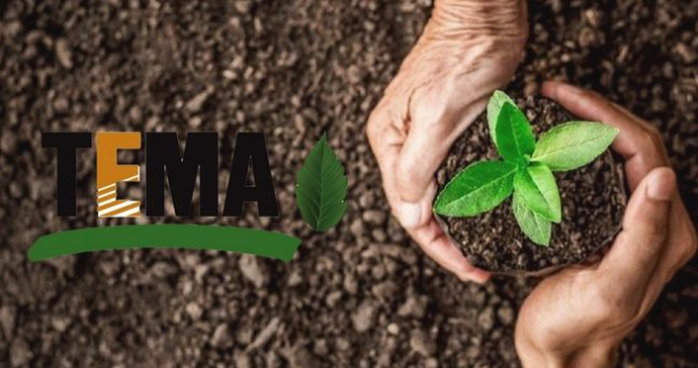 TEMA Vakfı'na bağış nereden, nasıl yapılır? TEMA Vakfı üyeleri kimler?