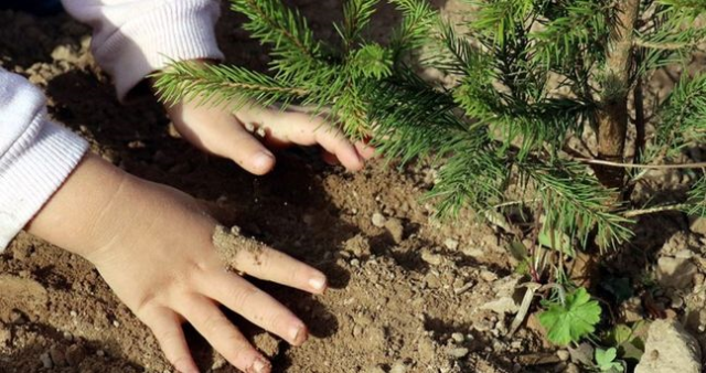 TEMA Vakfı ne iş yapar? TEMA Vakfı ne zaman kuruldu?