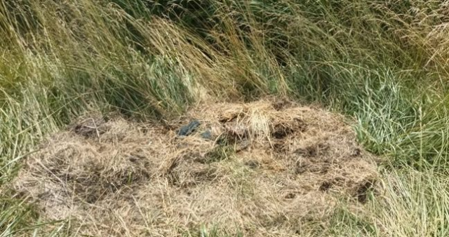 Efe Saravoğlu kimdir, neden öldü? Efe Saravoğlu nasıl öldü?