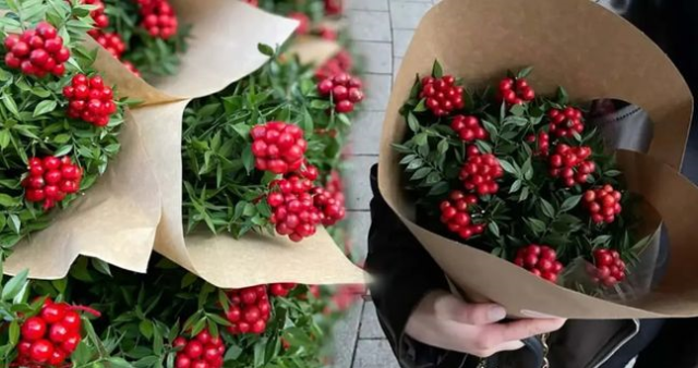 Kokina çiçeğinin anlamı nedir? Kokina çiçeği neden alınır?