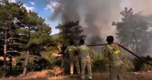 Hatay ve Mersin'de orman yangınları ikinci günde! Ekipler alevlerin arasında kaldı