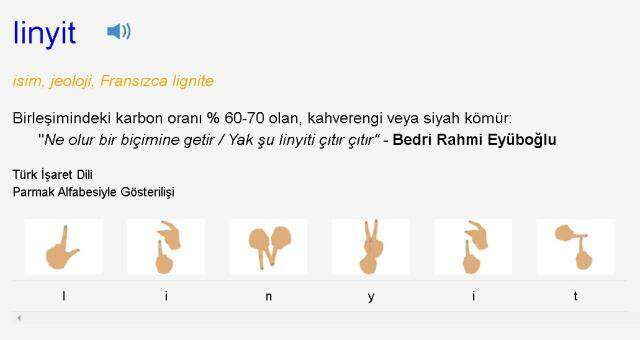 Linyit ne demek? TDK'ya göre linyit nedir, ne anlama geliyor? Linyit ne renktir?