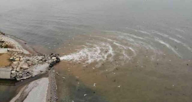 Prof. Dr. Mustafa Sarı, Marmara Denizi'ndeki kirlilik ve müsilaj için uyardı: 50 yılda 19 balık türü kayboldu