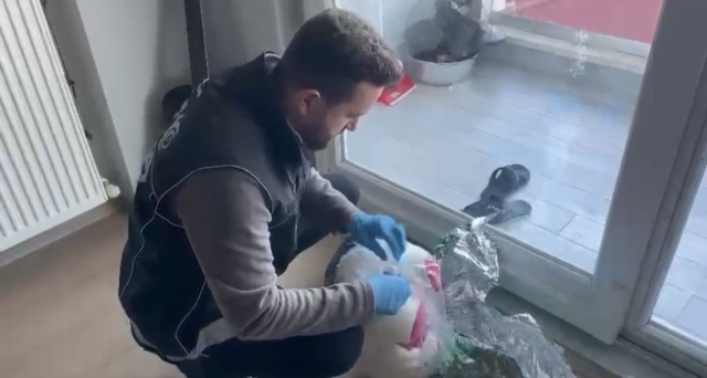 Samsun'da oyuncak ayıda gizlenmiş 150 gram kokain ele geçirildi