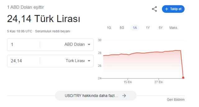 Dolar 24 TL'ye mi düştü? Google'ın hatası yatırımcılar kısa süreli panik yarattı