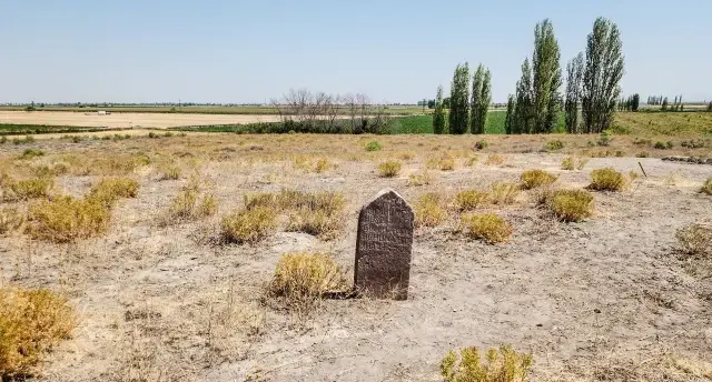 Yalnız mezarın sırrı çözüldü! Herkesin dışladığı Güllü Ayşa'nın dramı
