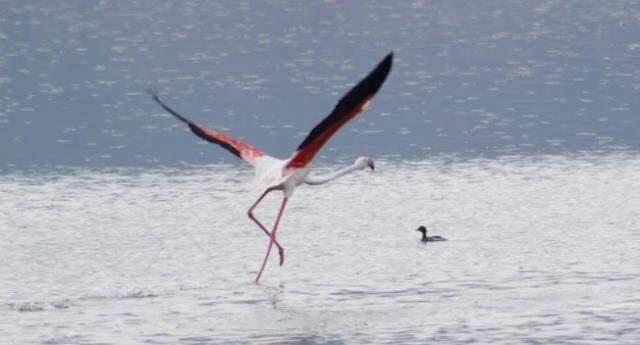 Burdur Gölü alarm veriyor! Kuraklık kritik seviyeyi geçti