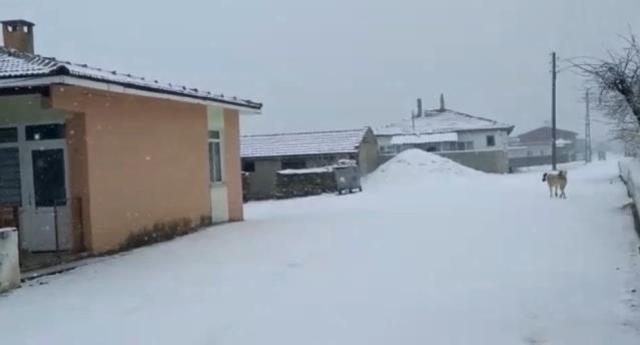 Edirne'den yurda giren kuvvetli kar yağışı İstanbul'un kapısına dayandı! Etkisi günlerce sürecek