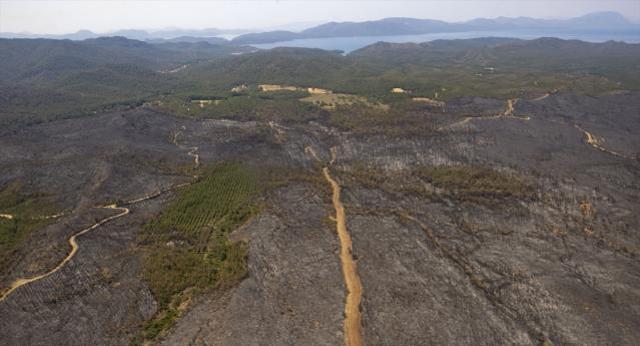 Marmaris'te orman yangının ilk başladığı nokta havadan görüntülendi, manzara yürek yakıyor