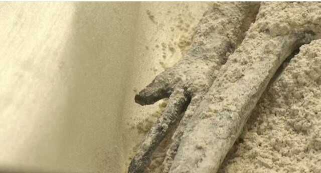 Meksika Kongresi 1000 yaşında oldukları tahmin edilen uzaylılara ait cesetleri sergiledi