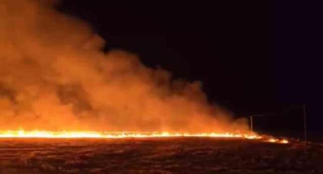 Anız yangınları bitmek bilmiyor! Suriye sınırındaki 7 köy alevlere teslim oldu