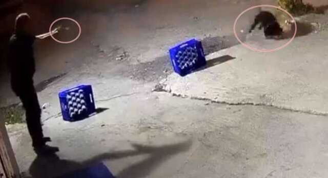 Ağaca bağlı köpeğe kurşun yağdırıldı, saldırı anı kamerada