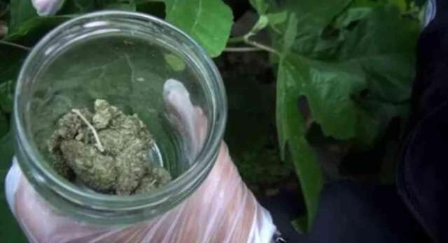 Kalben kimdir? Şarkıcı Kalben kaç yaşında ve nereli? Kalben'in şarkıları!