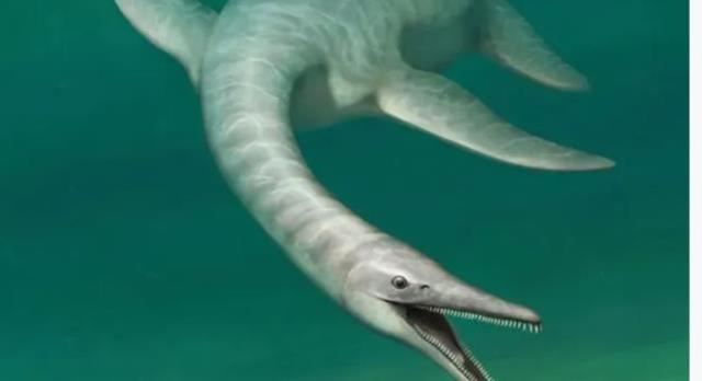 Dünya 'Yılan vücutlu timsah suratlı' canlıyı konuşuyor! İlk kez göreceksiniz