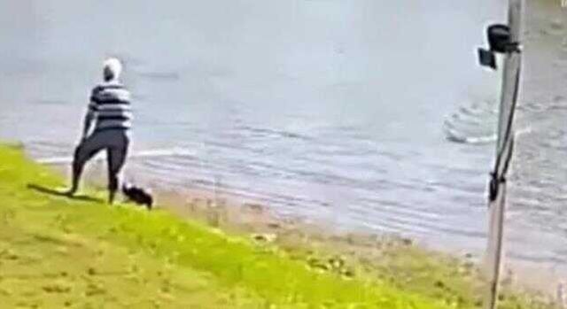 Köpeğiyle göl kenarında gezen kadına timsah saldırdı! Görevliler bedenini parçalanmış halde buldu