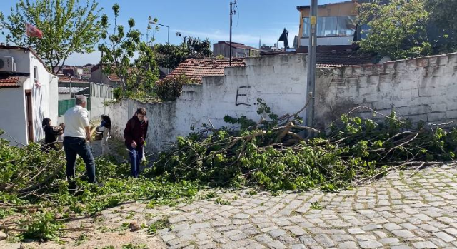 İstanbul'da Kuvvetli Rüzgar Ağaçları Devrildi, Araçlar Hasar Gördü