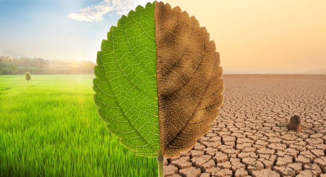 Türkiye'nin ilk İklim Kanunu Teklifi TBMM'de kabul edildi