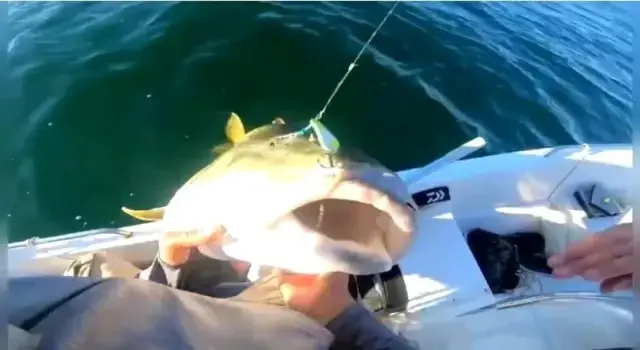 Keban Barajı'na olta atan arkadaşlar, takılan balığı görünce gözlerine inamadı