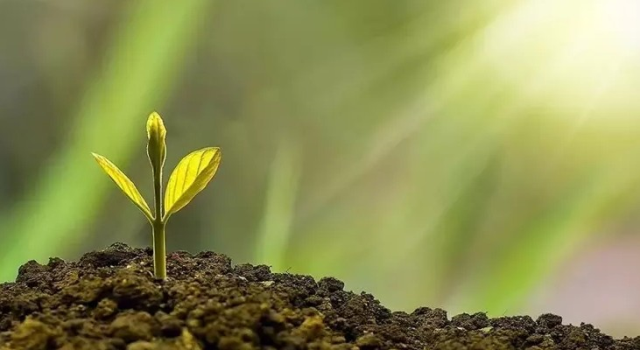 Türkiye'nin ilk İklim Kanunu Teklifi TBMM'de kabul edildi