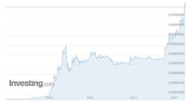Shiba Coin (SHIB INU) nedir? Shiba Coin yorum ve grafik! Shiba Coin kaç TL, Shiba Coin ne kadar? Shiba Coin geleceği!
