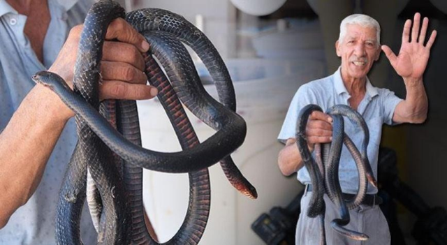 Fenomen ayrancı Yılancı Osman'a bir şok daha! Resimlerini asarak ifşa etti