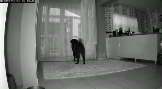 Hostese eski sevgili dehşeti: İnsanları kesip sonra da seni keseceğim