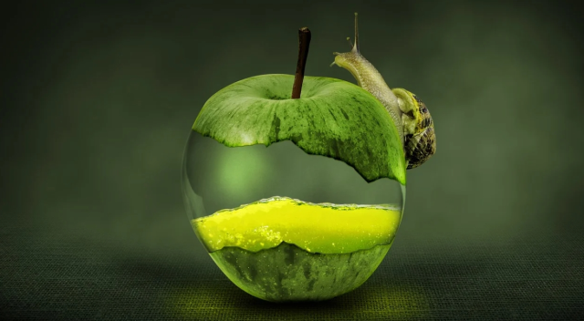 Rüyada elma toplamak ne anlama gelir?