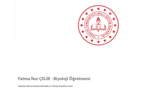 Fatma Nur Çelik hangi okulda öğretmendi, branşı neydi, ne öğretmeniydi?