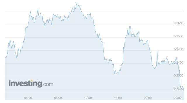 ROSE Coin yorum ve geleceği! ROSE Coin nedir?
