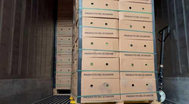 Ülke tarihine geçti! Muz konteynerlerinin içinde 9,4 ton uyuşturucu madde ele geçirildi